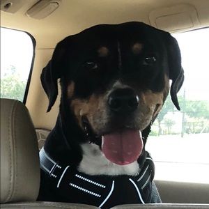 Meet your Posher, Jaime